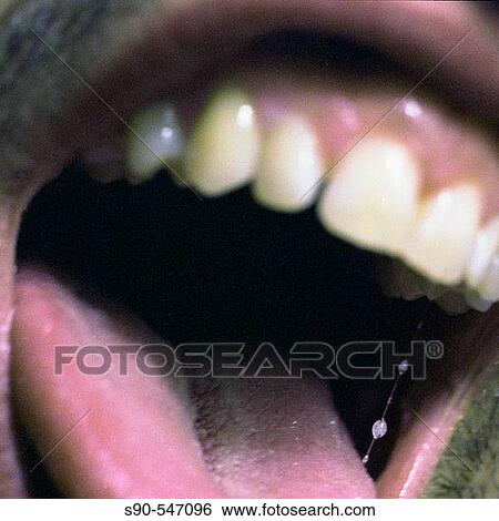 Mouth. View Large Photo Image Stock Photograph - Mouth.. Fotosearch