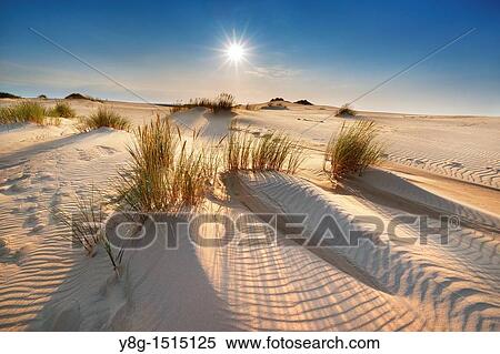 Moving Dunes in Slowinski National Park, Pomerania, Poland, Europe View Large Photo Image Stock Photography - Moving Dunes in Slowinski National Park, Pomerania, Poland, Europe. Fotosearch