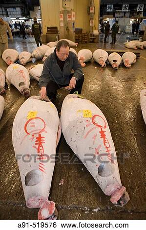 Mr Hirota, Cuisine Chef of Hotel Seiho Tsukuji, biggest fishmarket in the world Tokyo Japan View Large Photo Image Stock Photograph - Mr Hirota, Cuisine Chef of Hotel Seiho Tsukuji, biggest fishmarket in the world Tokyo Japan. Fotosearch