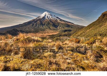 Mt Egmont / Taranaki from Pouakai Range, alpine shrubs, and tussock covered slopes, Taranaki. View Large Photo Image Stock Photo - Mt Egmont / Taranaki from Pouakai Range, alpine shrubs, and tussock covered slopes, Taranaki.. Fotosearch