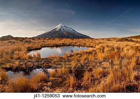 Mt Egmont / Taranaki, panorama at dawn, reflection in small tarn set among tussock slopes of Pouakai range, Taranaki. View Large Photo Image Stock Image - Mt Egmont / Taranaki, panorama at dawn, reflection in small tarn set among tussock slopes of Pouakai range, Taranaki.. Fotosearch
