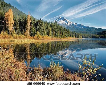 Stock Image - Mt. Hood reflecting in Trillium Lake in the autumn, Oregon, USA. Fotosearch