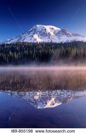 Stock Photo - Mt Rainier reflection. Fotosearch
