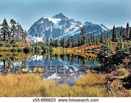 Mt. Shuksan reflecting in Picture Lake at the Mt. Baker Ski Area in the autumn, Washington State, USA View Large Photo Image Stock Image - Mt. Shuksan reflecting in Picture Lake at the Mt. Baker Ski Area in the autumn, Washington State, USA. Fotosearch