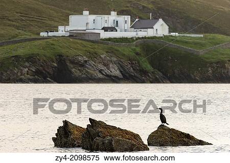 Muckleflugga Shorestation. Hermaness, Shetland isles, Scotland, United kingdon, Europe. View Large Photo Image Stock Photography - Muckleflugga Shorestation. Hermaness, Shetland isles, Scotland, United kingdon, Europe.. Fotosearch