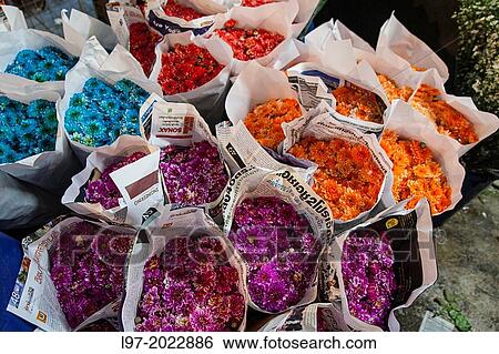 Multi coloured flowers for sale at the Yodpiman flower market, Bangkok Thailand. View Large Photo Image Stock Photograph - Multi coloured flowers for sale at the Yodpiman flower market, Bangkok Thailand.. Fotosearch