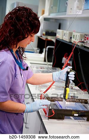 Multichannel pipette, agarose gel electrophoresis, Neuroscience lab, Research in neuromuscular disorders, neurodegenerative diseases, parkinson, dementia and multiple sclerosis, Biodonostia Health and Biomedicine Research Institute View Large Photo Image Stock Photo - Multichannel pipette, agarose gel electrophoresis, Neuroscience lab, Research in neuromuscular disorders, neurodegenerative diseases, parkinson, dementia and multiple sclerosis, Biodonostia Health and Biomedicine Research Institute. Fotosearch