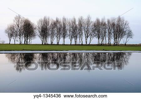 Municipal golf courses in Llanes View Large Photo Image Stock Photograph - Municipal golf courses in Llanes. Fotosearch