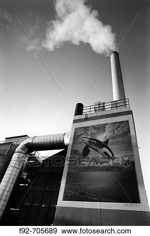 Mural on the wall View Large Photo Image Stock Photo - Mural on the wall. Fotosearch