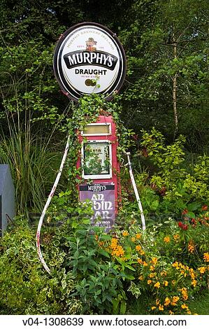 Stock Photo - Murphy's stout beer pump in Lauragh, County Kerry, Ireland, Europe. Fotosearch