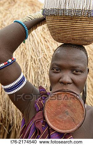Mursi woman with lip plate in the Lower Omo Valley of Ethiopia. The Mursi girls have a fold cut in their lower lip as they enter womanhood, where a pulley is inserted, which then stretches the lip until larger plates can be put in. View Large Photo Image Stock Image - Mursi woman with lip plate in the Lower Omo Valley of Ethiopia. The Mursi girls have a fold cut in their lower lip as they enter womanhood, where a pulley is inserted, which then stretches the lip until larger plates can be put in.. Fotosearch