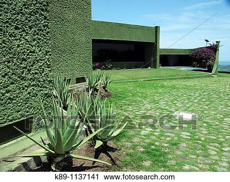 Museo de Sitio. Xochicalco archaelogical site. Mexico View Large Photo Image Stock Image - Museo de Sitio. Xochicalco archaelogical site. Mexico. Fotosearch