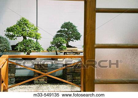 Museo del Bonsai. Marbella. Andalucia. Spain. View Large Photo Image Stock Photography - Museo del Bonsai. Marbella. Andalucia. Spain.. Fotosearch
