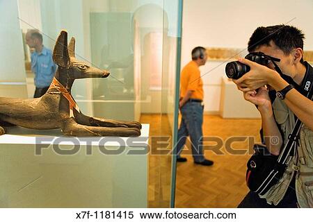 Museum Island Neues Museum Figure of reclining jackal 600 aDC Egyptian art Berlin Germany View Large Photo Image Stock Photography - Museum Island Neues Museum Figure of reclining jackal 600 aDC Egyptian art Berlin Germany. Fotosearch