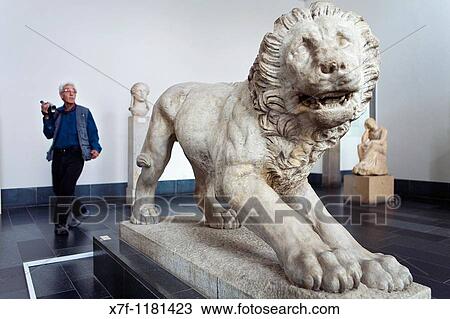 Museum Island Pergamonmuseum Lion from Athenas 320 BC Berlin Germany View Large Photo Image Stock Image - Museum Island Pergamonmuseum Lion from Athenas 320 BC Berlin Germany. Fotosearch