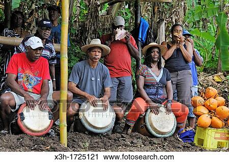musicians giving rhythm for collective plowing of a field lasso-te in Creole language, Fonds-Saint-Denis, Martinique, french island overseas region and department in the Lesser Antilles in the eastern Caribbean Sea, Atlantic Ocean View Large Photo Image Stock Image - musicians giving rhythm for collective plowing of a field lasso-te in Creole language, Fonds-Saint-Denis, Martinique, french island overseas region and department in the Lesser Antilles in the eastern Caribbean Sea, Atlantic Ocean. Fotosearch