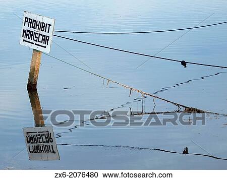 Mussel fishing forbidden sign at Alfacs Bay. Ebro River Delta Natural Park, Tarragona province, Catalonia, Spain. View Large Photo Image Stock Image - Mussel fishing forbidden sign at Alfacs Bay. Ebro River Delta Natural Park, Tarragona province, Catalonia, Spain.. Fotosearch