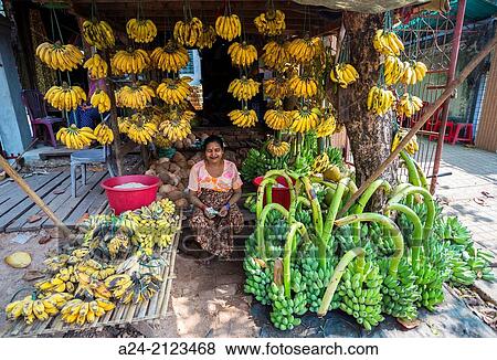 Myanmar, Yangon City, Bananas shop. View Large Photo Image Stock Photo - Myanmar, Yangon City, Bananas shop.. Fotosearch