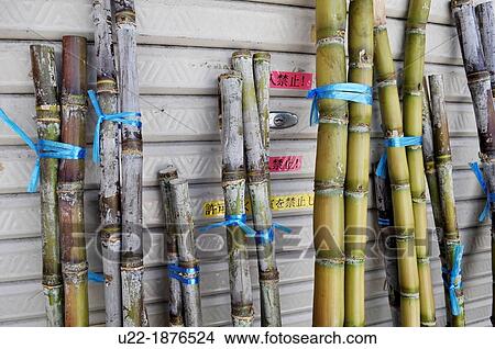 Picture - Naha, Okinawa, Japan, sugarcane sold during Obon, Makishi. Fotosearch