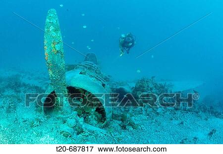 Nakajima B5N2 Kate Torpedo Bomber and Scuba diver, Papua New Guinea, New Ireland, Kavieng View Large Photo Image Stock Photo - Nakajima B5N2 Kate Torpedo Bomber and Scuba diver, Papua New Guinea, New Ireland, Kavieng. Fotosearch