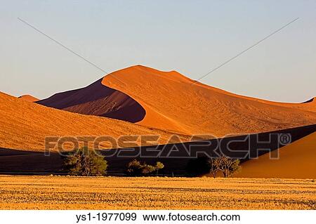 Namib-Naukluft Park, Sossusvlei Dunes, Namibia. View Large Photo Image Stock Photo - Namib-Naukluft Park, Sossusvlei Dunes, Namibia.. Fotosearch