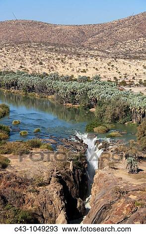 Namibia - At the beautiful Epupa Falls the Kunene River border river between Namibia and Angola drops in a series of cascades into a 60m deep gorge The riverbank is grown with Makalani palm trees Hyphaene petersiana Kaokoland, Kunene region, Namibia View Large Photo Image Stock Image - Namibia - At the beautiful Epupa Falls the Kunene River border river between Namibia and Angola drops in a series of cascades into a 60m deep gorge The riverbank is grown with Makalani palm trees Hyphaene petersiana Kaokoland, Kunene region, Namibia. Fotosearch