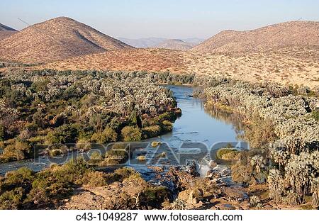 Stock Photo - Namibia - At the beautiful Epupa Falls the Kunene River border river between Namibia and Angola drops in a series of cascades into a 60m deep gorge The riverbank is grown with Makalani palm trees Hyphaene petersiana Kaokoland, Kunene region, Namibia. Fotosearch