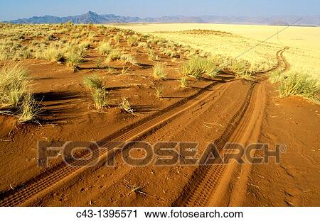 Namibia - Sandy track at the edge of the southern Namib Desert inside the NamibRand Nature Reserve View Large Photo Image Stock Image - Namibia - Sandy track at the edge of the southern Namib Desert inside the NamibRand Nature Reserve. Fotosearch
