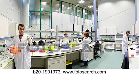 Stock Image - Nanobiotechnology laboratory, Focused on the area of biofunctional nanostructures and nanobiotechnology, CIC nanoGUNE, Nano science Cooperative Research Center, Donostia, San Sebastian, Gipuzkoa, Basque Country, Spain. Fotosearch