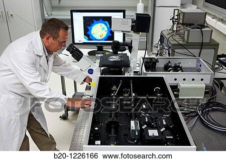 Nanophotonics laboratory, confocal fluorescence microscope with molecular sensitivity, Materials Physics Center is a joint center of the Spanish Scientific Research Council CSIC and the University of the Basque Country UPV/EHU. View Large Photo Image Stock Photograph - Nanophotonics laboratory, confocal fluorescence microscope with molecular sensitivity, Materials Physics Center is a joint center of the Spanish Scientific Research Council CSIC and the University of the Basque Country UPV/EHU.. Fotosearch