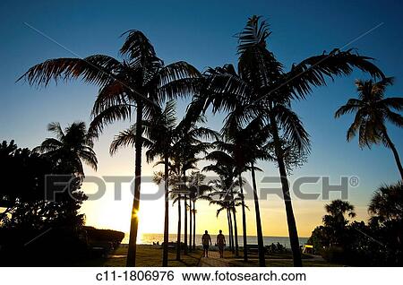 Naples beach, florida, usa View Large Photo Image Stock Photograph - Naples beach, florida, usa. Fotosearch