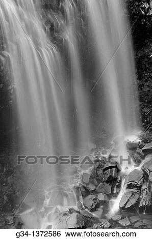 Narada Falls, Mount Rainier National Park, Washington, USA View Large Photo Image Stock Photograph - Narada Falls, Mount Rainier National Park, Washington, USA. Fotosearch