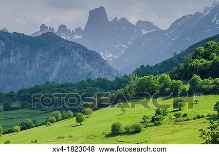 Stock Photo - Naranjo de Bulnes panoramic views from mirador del Pozo de la Oraci? n at Cabrales, Picos de Europa, Asturias, Spain. Fotosearch