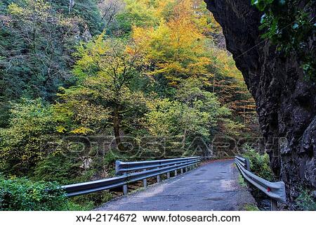 Narrow pass of Aisclo Canyon in Autumn, Ordesa and Monte Perdido National Park. Huesca Pyrenees, Arag? n, Spain. View Large Photo Image Stock Image - Narrow pass of Aisclo Canyon in Autumn, Ordesa and Monte Perdido National Park. Huesca Pyrenees, Arag? n, Spain.. Fotosearch