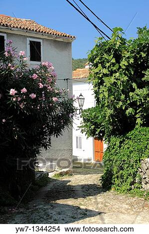Narrow street in Beli village on Cres Island, Croatia View Large Photo Image Picture - Narrow street in Beli village on Cres Island, Croatia. Fotosearch