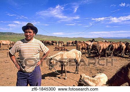 Native Horseman at Horse Ranch in the Nomadic Country of Mongolia View Large Photo Image Stock Image - Native Horseman at Horse Ranch in the Nomadic Country of Mongolia. Fotosearch