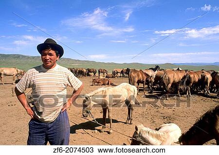 Native Horseman at Horse Ranch in the Nomadic Country of Mongolia. View Large Photo Image Stock Image - Native Horseman at Horse Ranch in the Nomadic Country of Mongolia.. Fotosearch