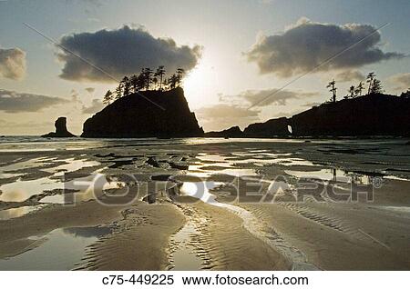 Natural Arch and offshore stack. Coastline near La Push. Olympic National Park. Washington. USA. View Large Photo Image Stock Photography - Natural Arch and offshore stack. Coastline near La Push. Olympic National Park. Washington. USA.. Fotosearch