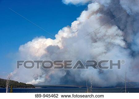 Stock Image - Natural Forest fires in Yellowstone National Park. Fotosearch