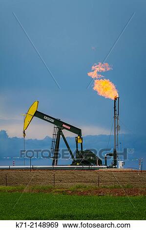 Natural gas flaring and a pumper in the Bakken shale oil fields near Williston, North Dakota, USA. View Large Photo Image Stock Photo - Natural gas flaring and a pumper in the Bakken shale oil fields near Williston, North Dakota, USA.. Fotosearch