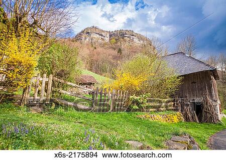 Picture - Natural Park des Massif de Bauges, Haute-Savoie, Rh? ne-Alpes, France.. Fotosearch