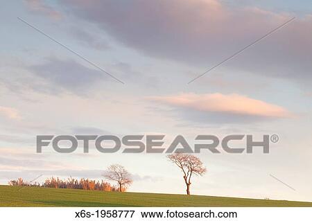 Natural Park of Els Gallecs, Mollet del Vall? s, Barceona, Spain. View Large Photo Image Stock Photo - Natural Park of Els Gallecs, Mollet del Vall? s, Barceona, Spain.. Fotosearch