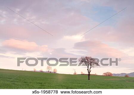 Stock Photo - Natural Park of Els Gallecs, Mollet del Vall? s, Barceona, Spain.. Fotosearch