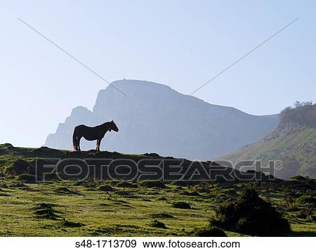 Natural Park of Mt Gorbea. Vizcaya. Basque Country. Spain. Europe. View Large Photo Image Stock Photo - Natural Park of Mt Gorbea. Vizcaya. Basque Country. Spain. Europe.. Fotosearch