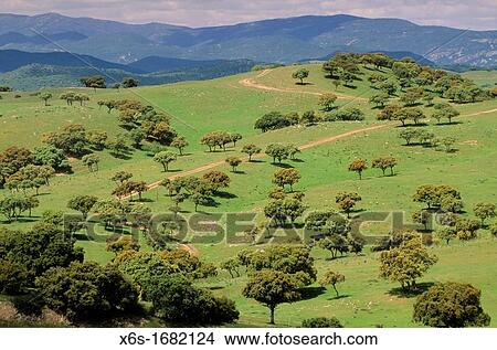 Natural park of Sierra de Andjar, Ja? n, Spain View Large Photo Image Picture - Natural park of Sierra de Andjar, Ja? n, Spain. Fotosearch