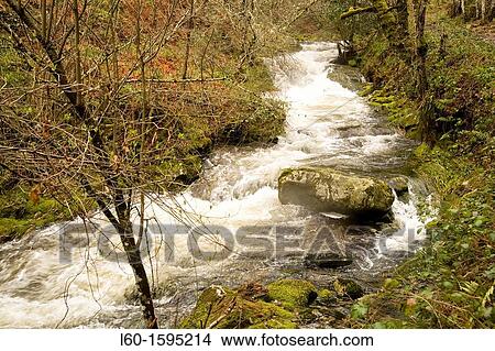 Picture - Natural reserve Muniellos, Asturias, Spain. Fotosearch