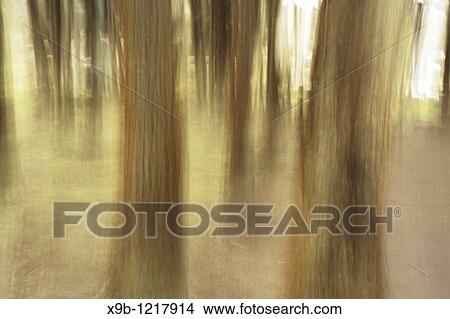 Picture - Nature abstract. Fotosearch