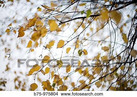 Nature View Large Photo Image Picture - Nature. Fotosearch