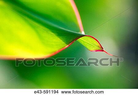 Nature View Large Photo Image Picture - Nature. Fotosearch