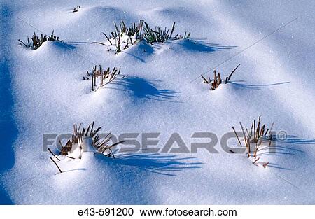 Stock Image - Nature. Fotosearch